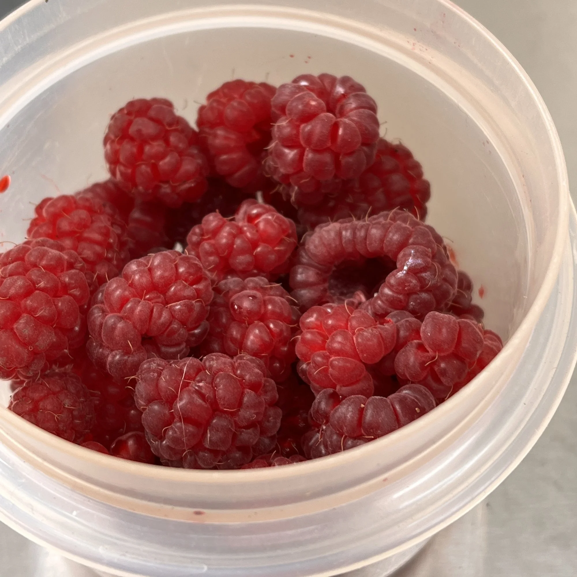 12879461-BA38-465C-9BA9-EFBAFBBE9654.webp