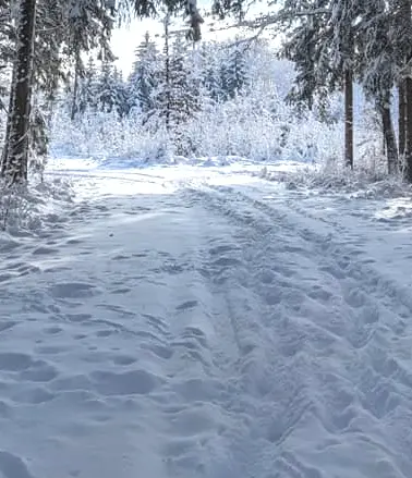 665617