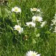 1538729483063.webp