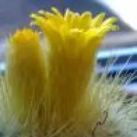 1539330044903.webp