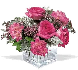 1540202271275.webp