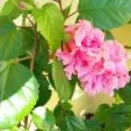 1540359706310.webp