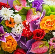 1627592920680.webp