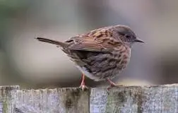 697975