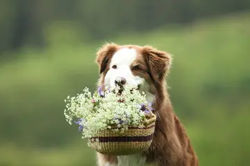 1668550801370.webp