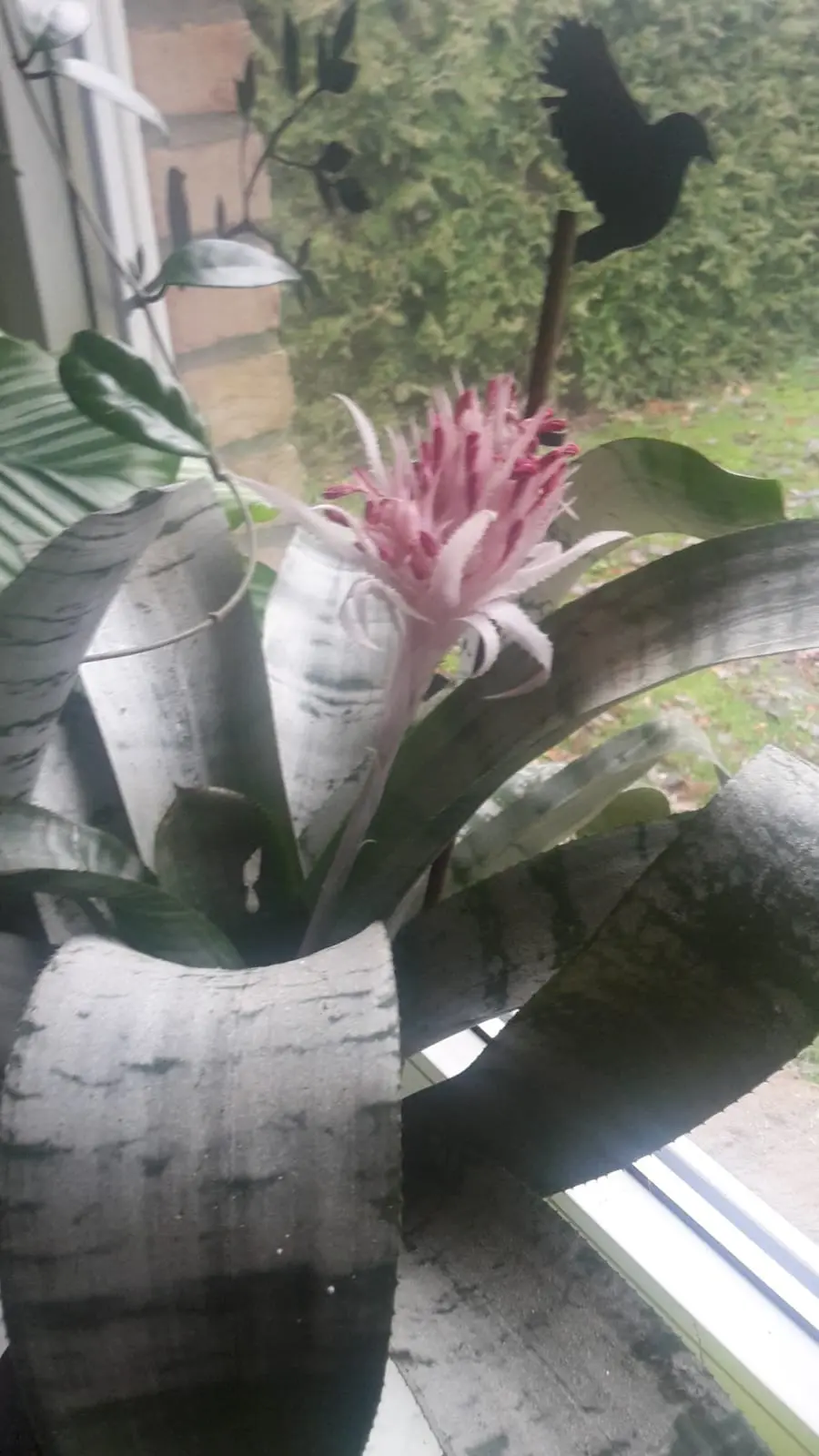 1673000874554.webp