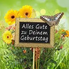 1678312455013.webp