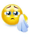 1679506162306.webp