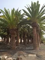 1680681735315.png