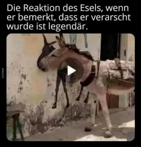 1682413771312.webp