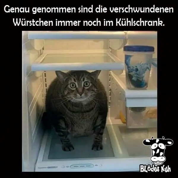 1683453472347.webp
