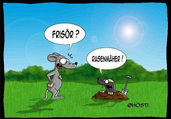 1688801399724.webp