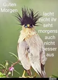 1696739709552.webp