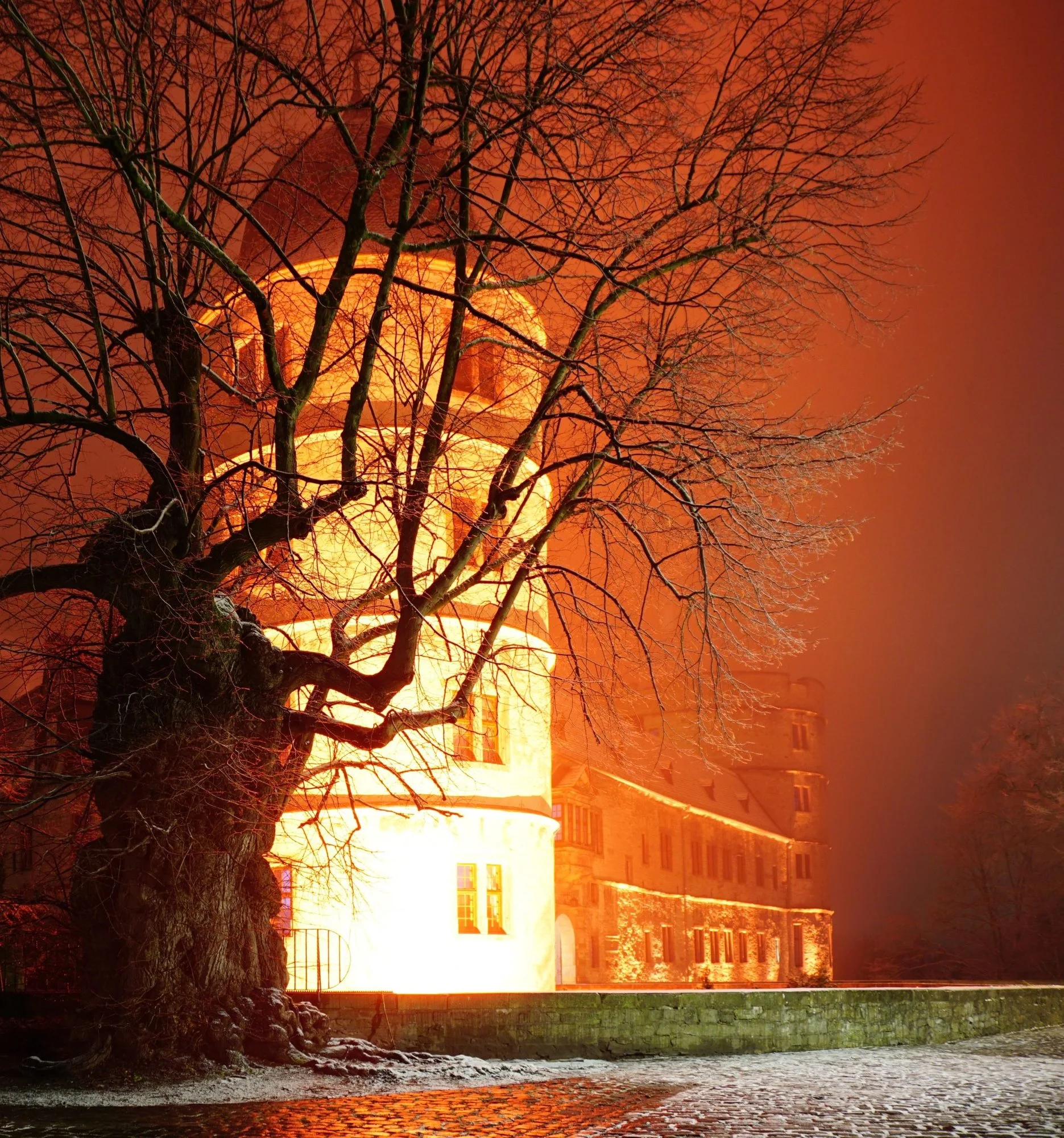 forum.hausgarten.net