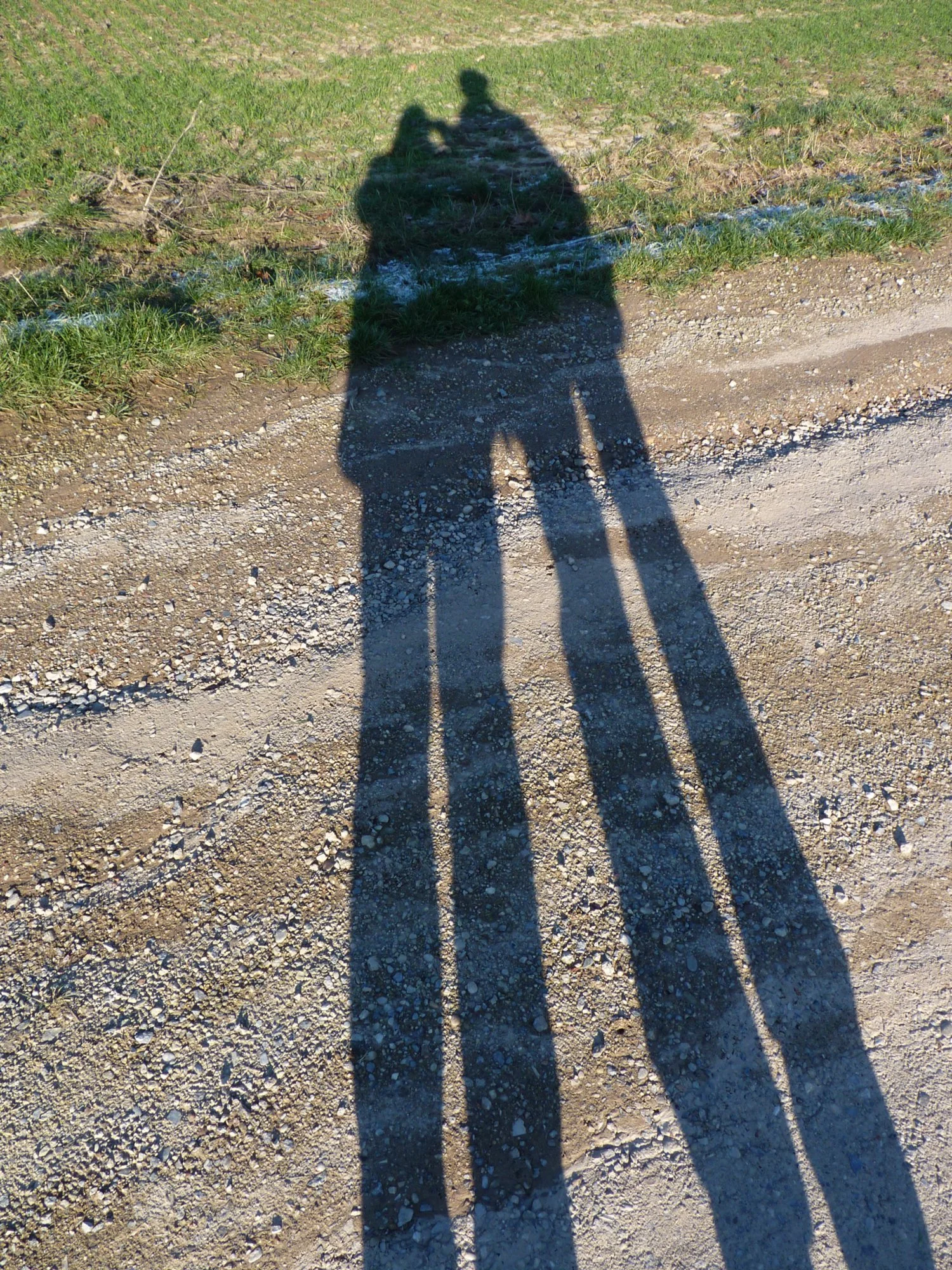 16B83F22-BAF5-4CCD-A818-766B4BEB48EF.webp