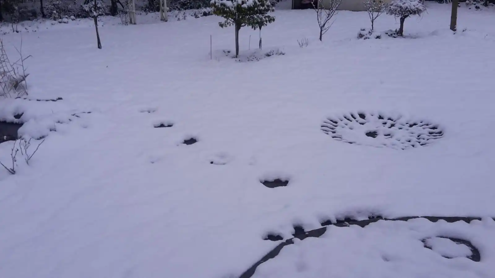 1701597860807.webp