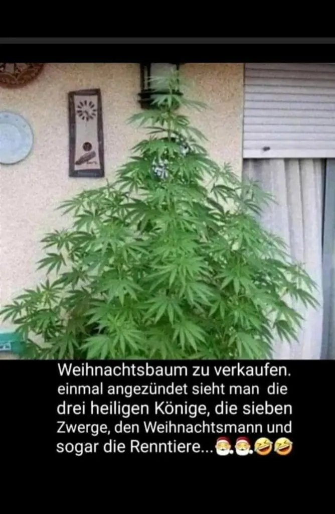 1703364645966.webp