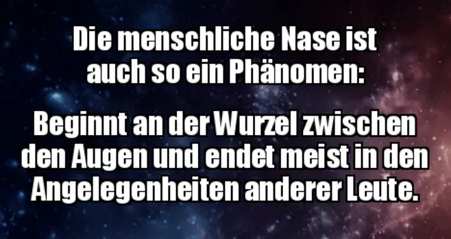 1705576334639.webp