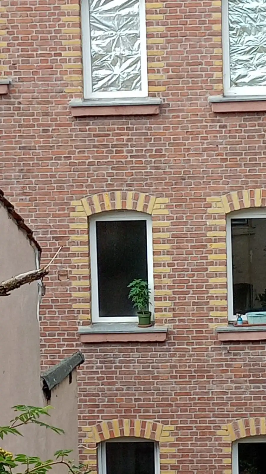1719170899611.webp