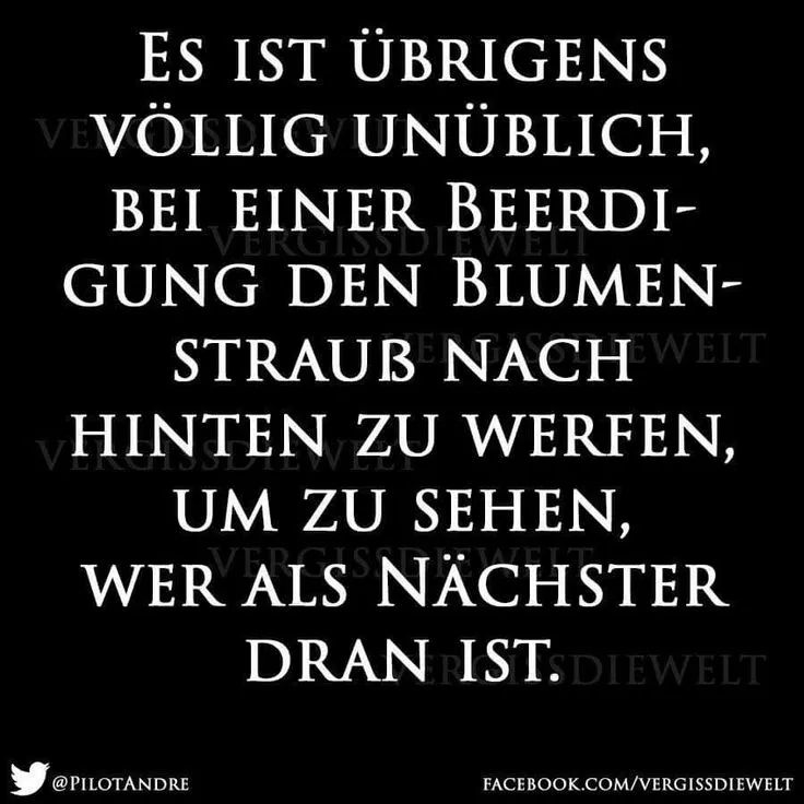 1733954485168.webp