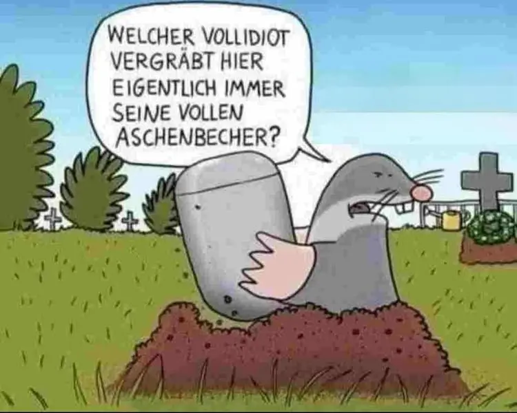 1746998613635.webp