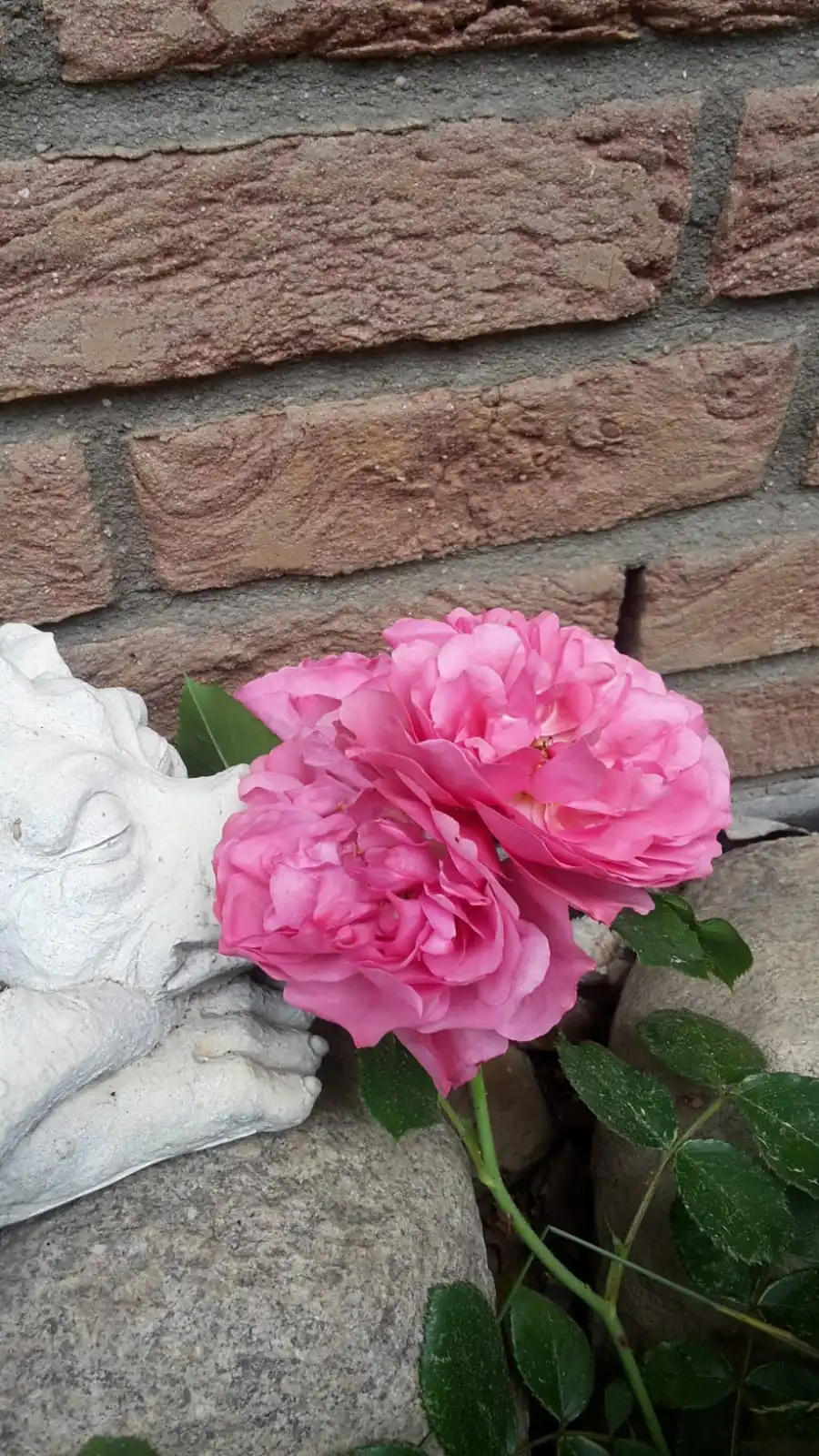 1748336728052.webp