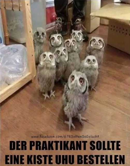 1758565958198.webp