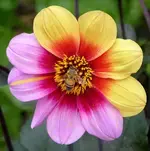 1784657183901.webp