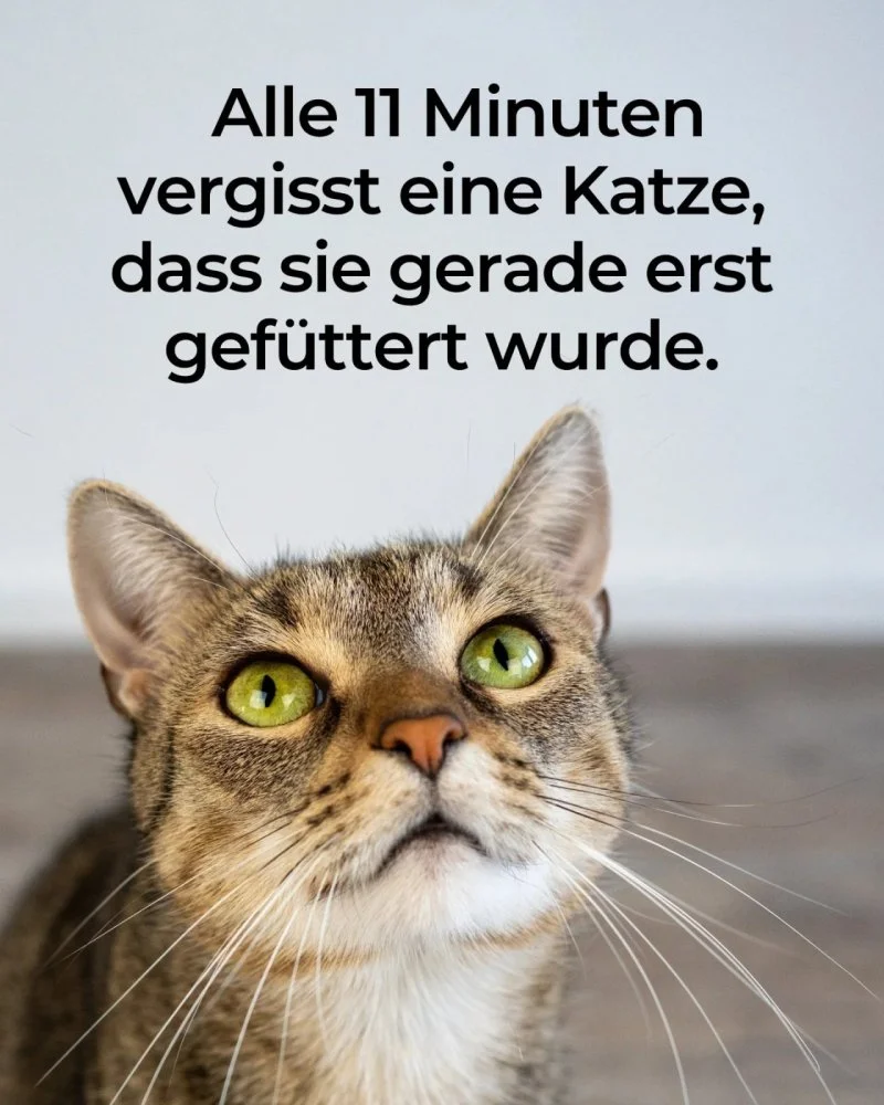 1aff9d3.webp