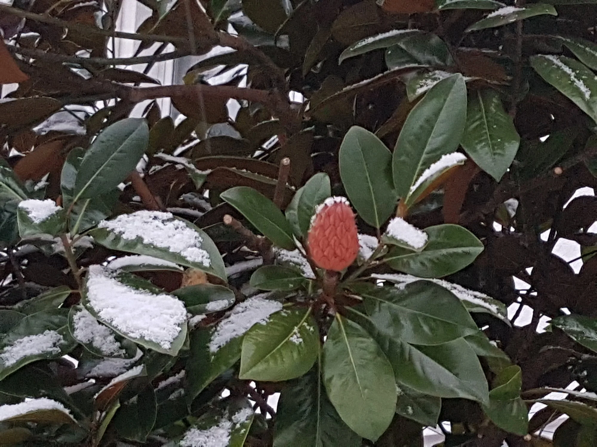 20171203_163435.jpg