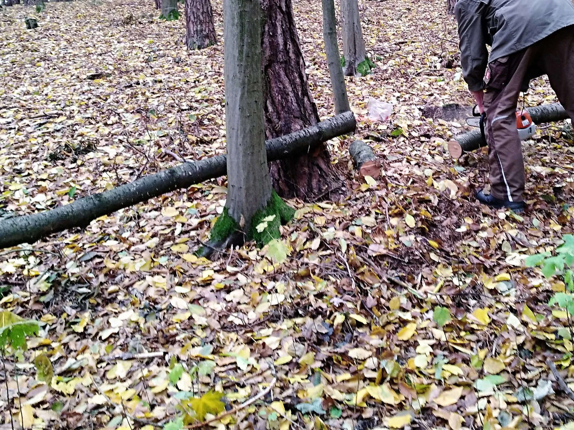 2018-11-03 11.23.47 - Kopie.webp
