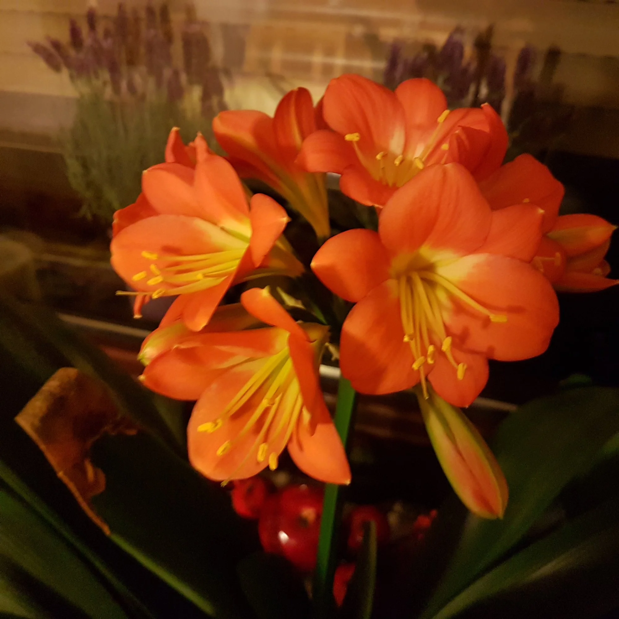 20180420_213547.webp