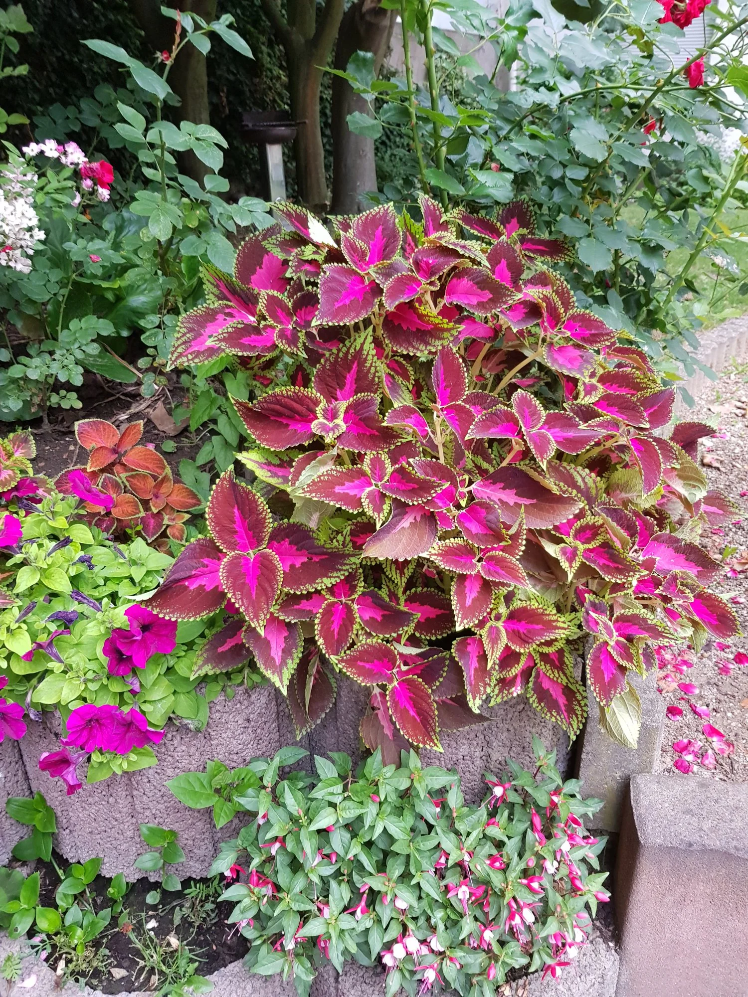 20180612_210239.webp