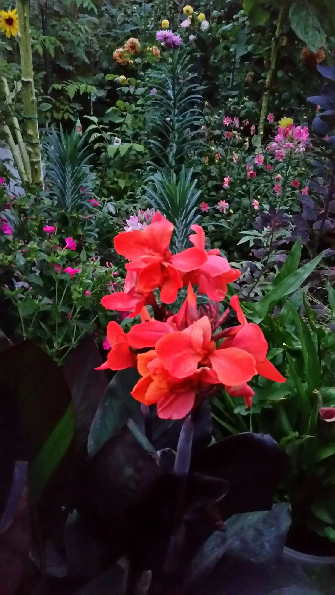 20180902_200835.webp