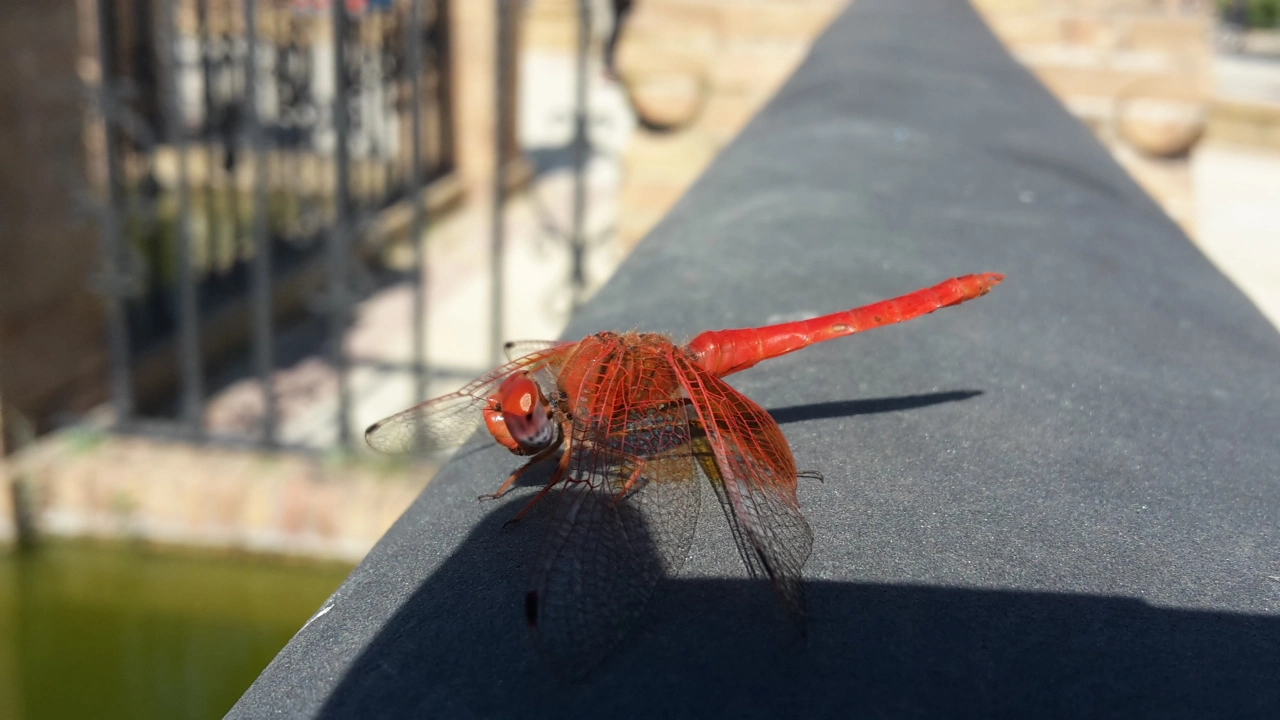 20181004_130448.webp