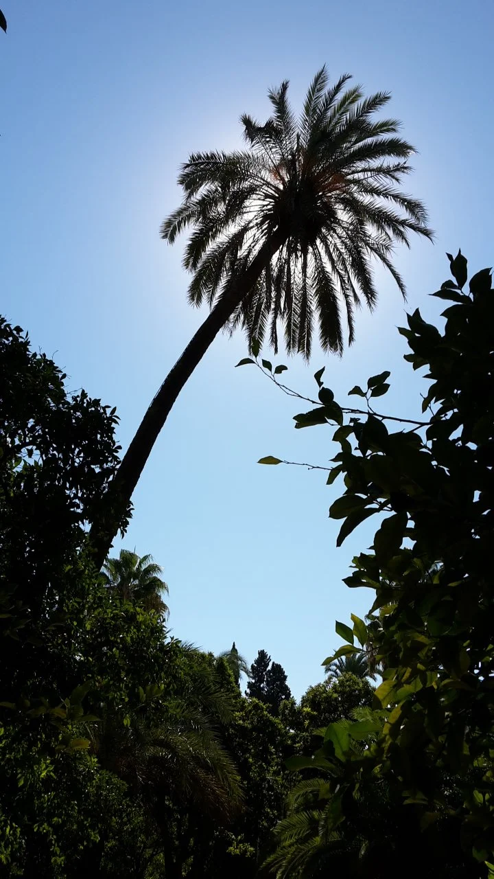 20181005_123654.webp