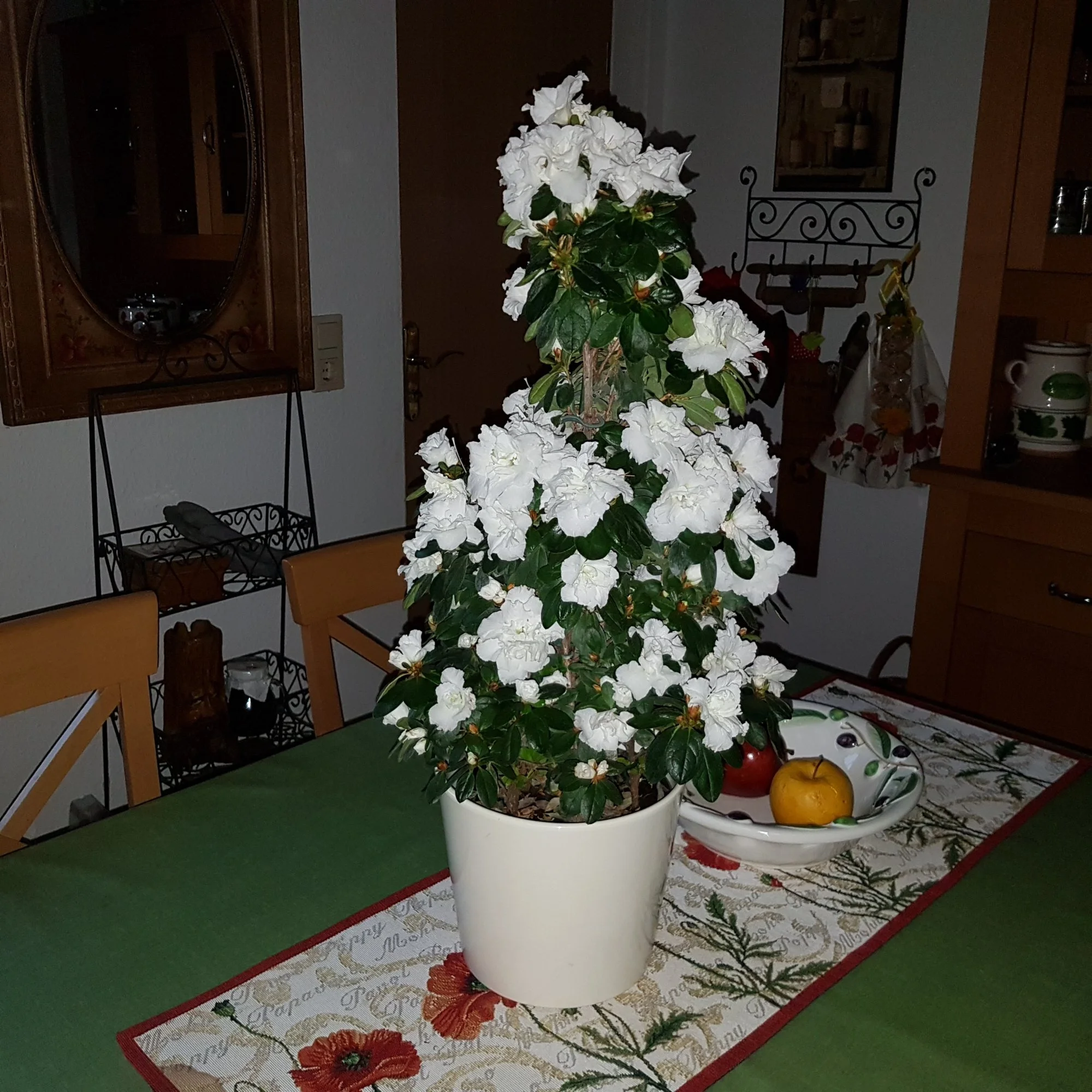 20190117_160533.webp