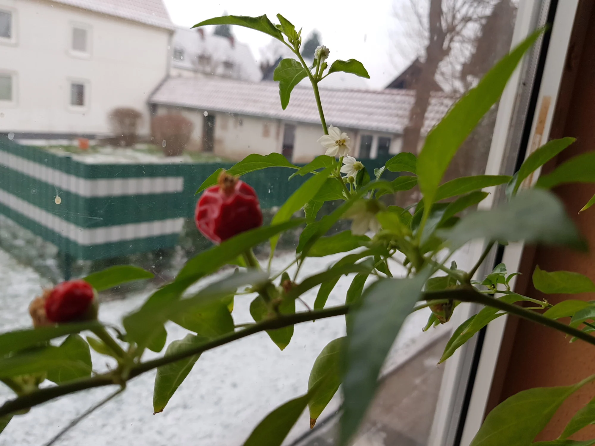 20190123_092015.webp