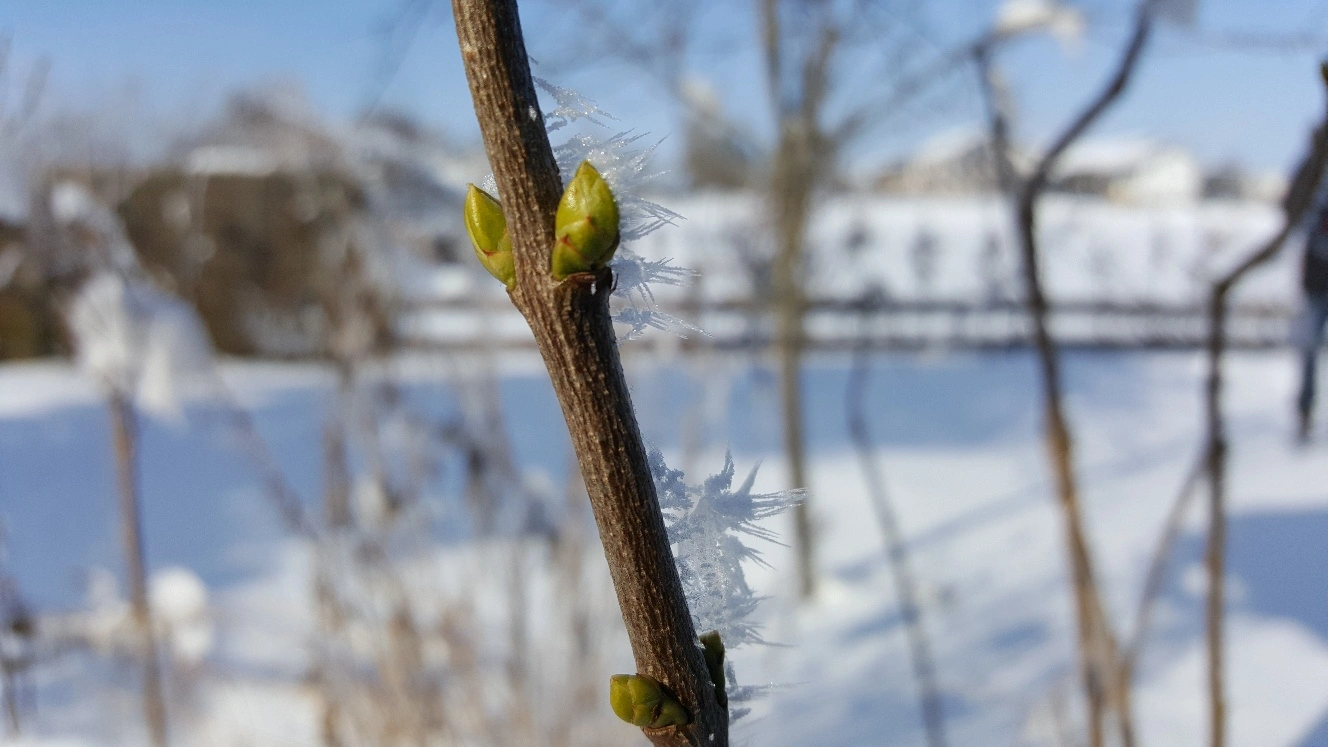 20190205_114055_resized.webp