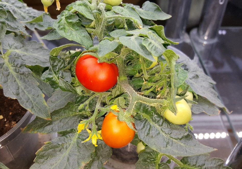 20190205_160801_resized(1).webp