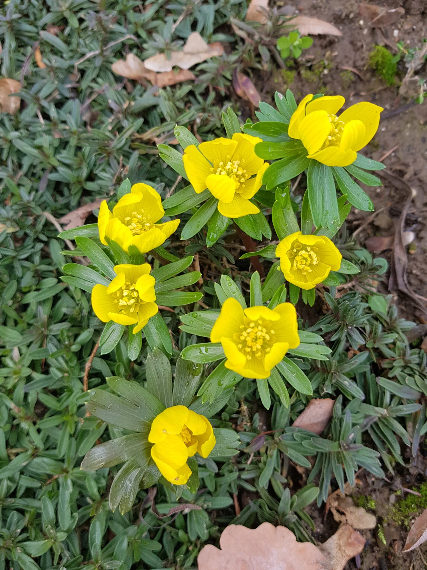 20190208_134131.webp