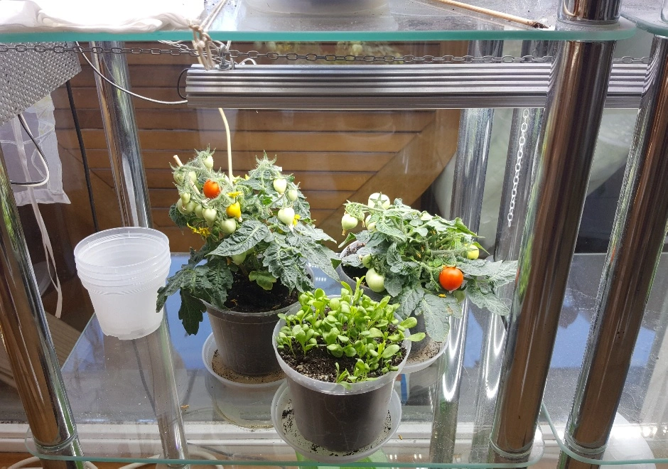 20190210_103537_resized.webp