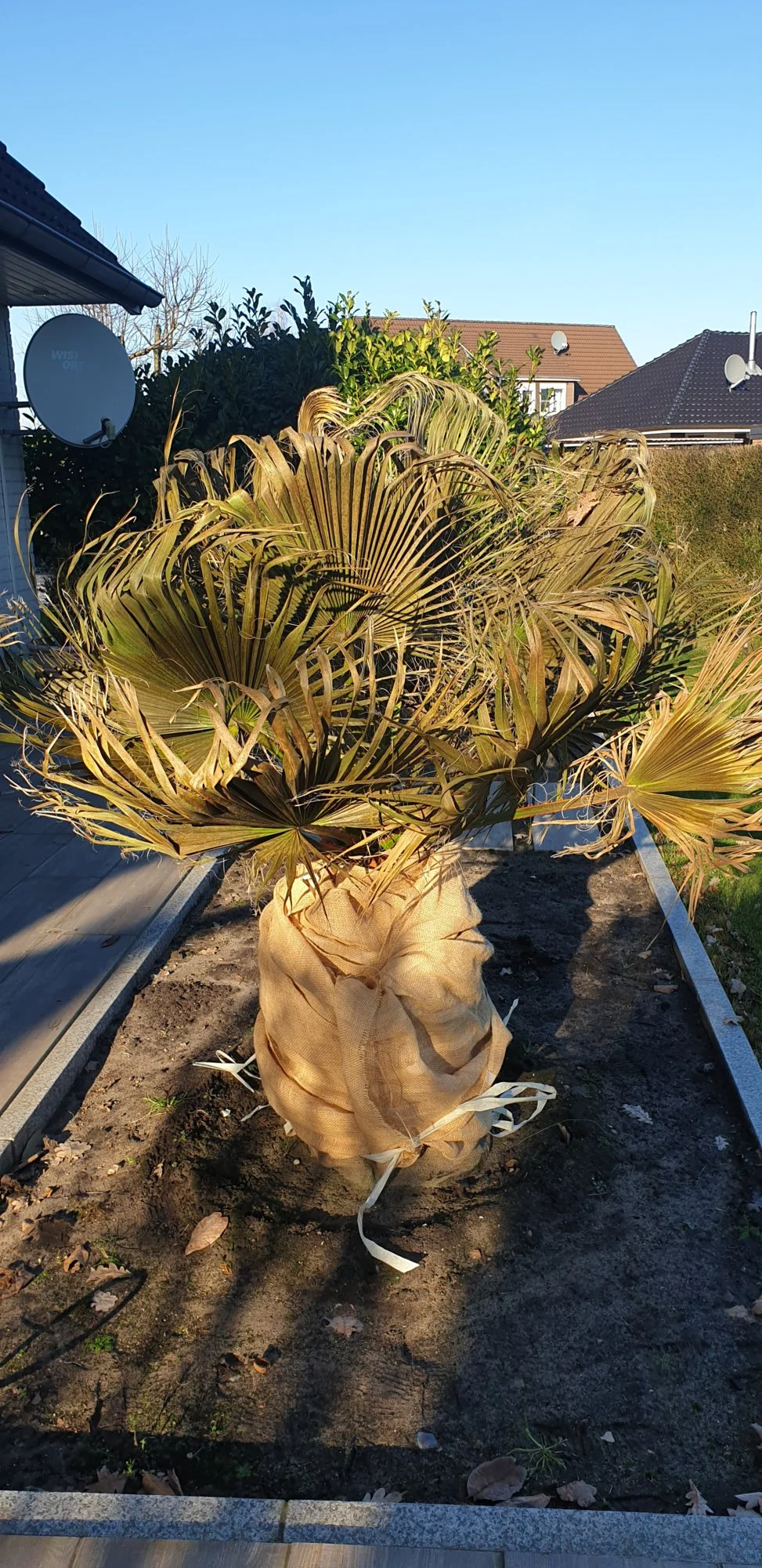 20190214_144901.webp