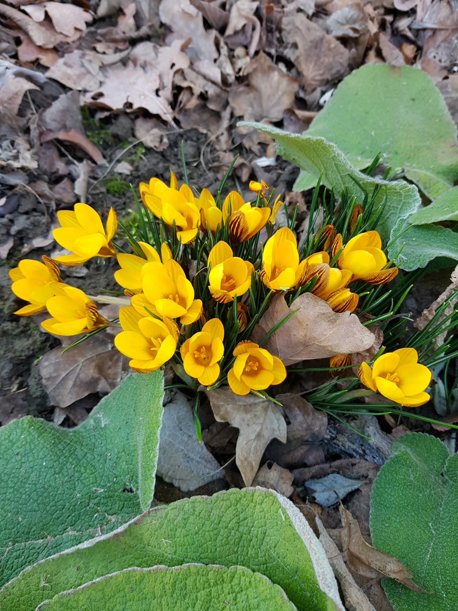 20190215_133847.webp