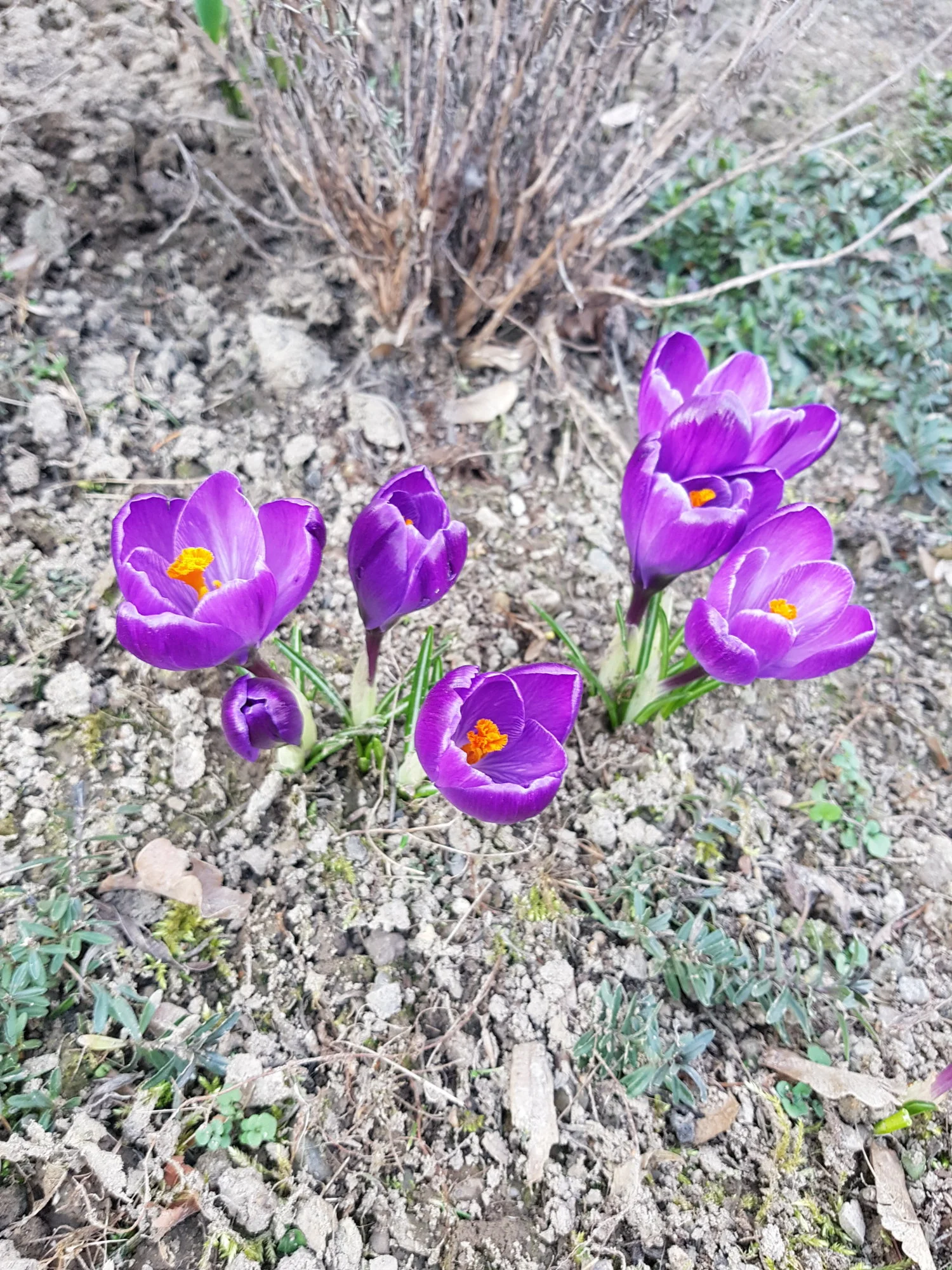 20190227_164641.webp