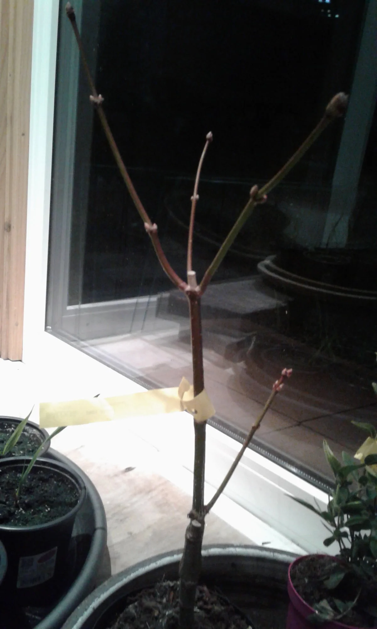 20190308_220318.webp