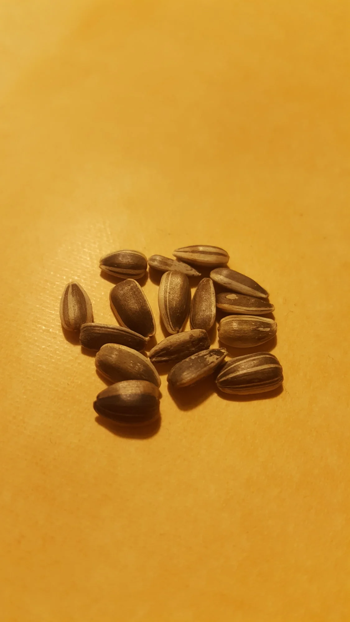 20190310_075503.webp