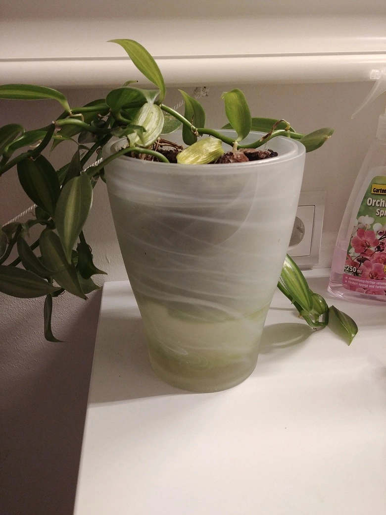 20190312_201419.webp