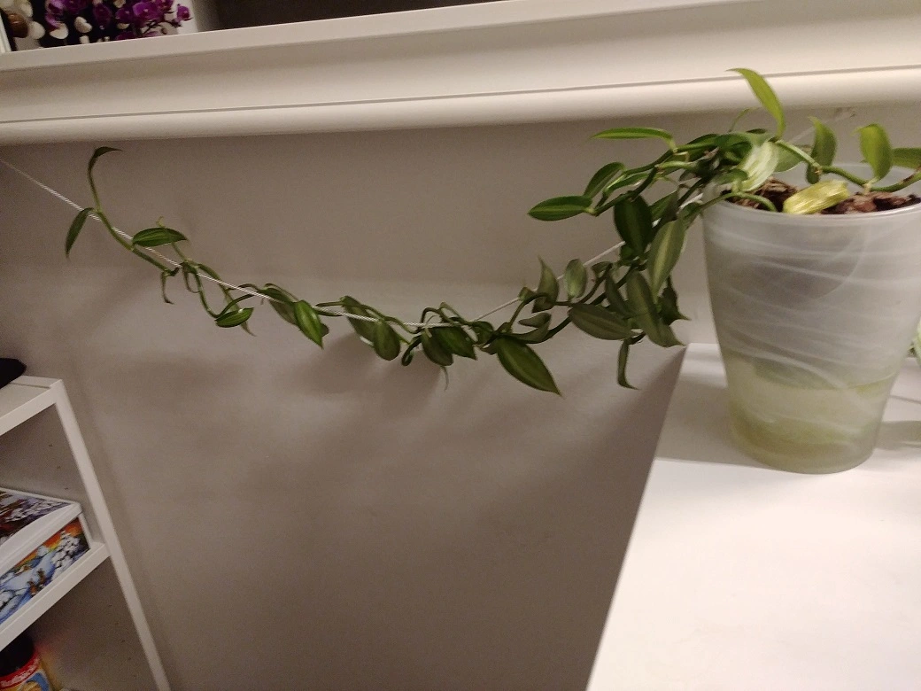 20190312_201428.webp