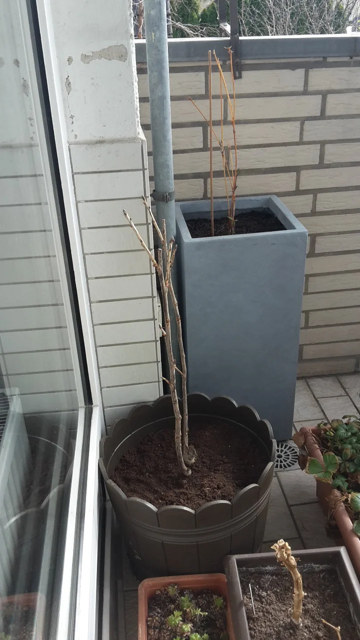20190313_121217.webp